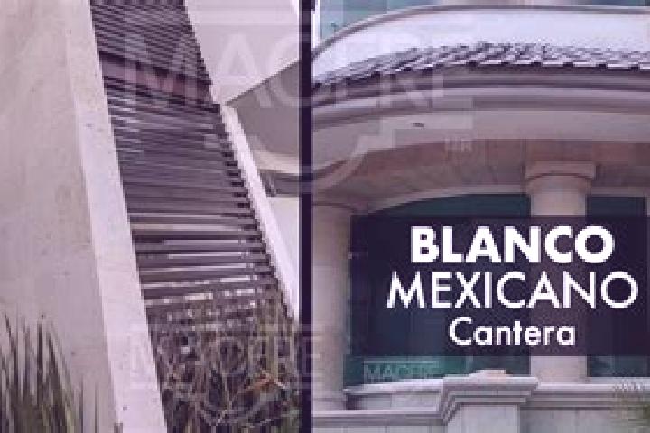 Lily, 23 — Escort in Residencial San Nicolas [Banos la Cantera], Mexico