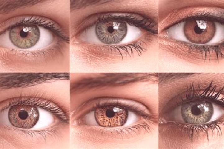 Lily, 24, a auburn hazel-eyed middle eastern companion based in Salta. Offering Deep French Kissing, Roleplay, CIM, Domination, Party Girl. Available for inc...