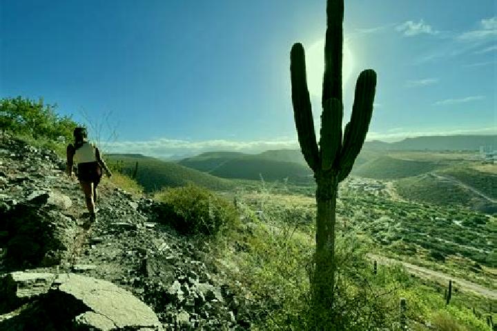 Lily, 24 — Escort in Cerro de la Cruz, Mexico