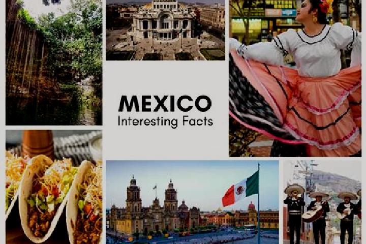 Lily, 24 — Escort in Tenamazapa, Mexico