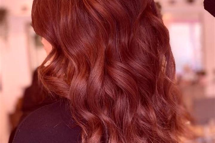 Lily, 25, a chestnut brown-eyed ebony companion based in Clarkrange. Offering Girlfriend Experience, 69, Deep French Kissing, Domination. Available for incal...