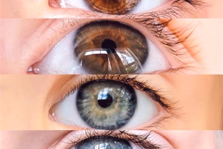 Lily, 25, a chestnut dark-eyed middle eastern companion based in Adamclisi. Offering Dinner Date, Travel Companion, Domination. Available for incall and outc...