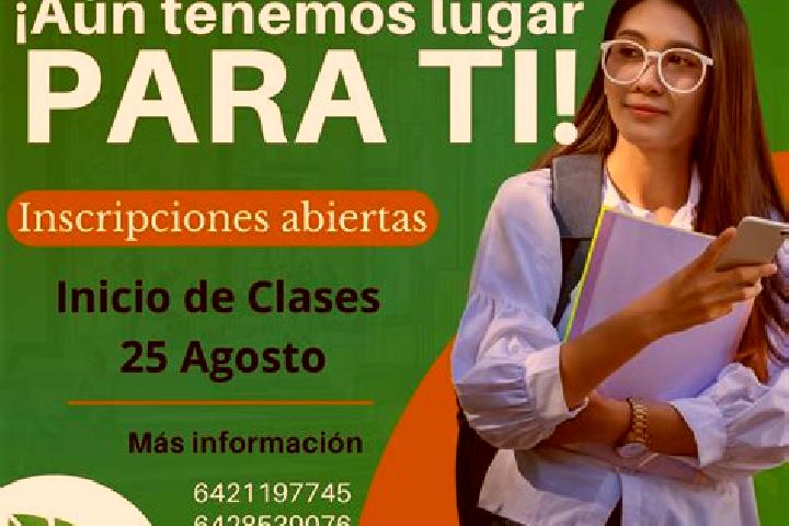 Lily, 25 — Escort in Bacabachi, Mexico