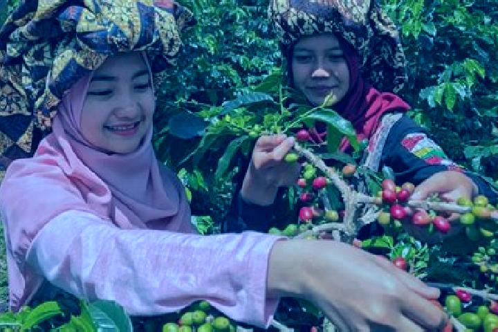 Lily, 25 — Escort in Bean, Indonesia