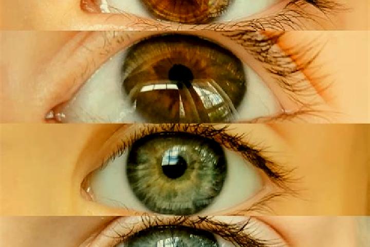Lily, 26, a chestnut grey-eyed mixed companion based in Schleswig. Offering Overnight, A-Level, Massage, 69, Deep French Kissing. Available for incall and ou...