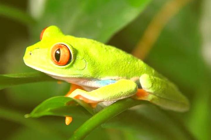 Lily, 26, a red green-eyed caribbean companion based in Hoyday. Offering BDSM, Overnight, Dinner Date, OWO. Available for incall and outcall, day and evening...