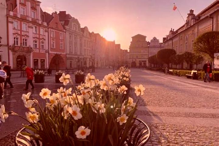 Lily, 26 — Escort in Boleslawiec, Poland