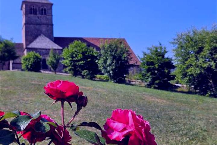 Lily, 26 — Escort in Champ-le-Duc, France