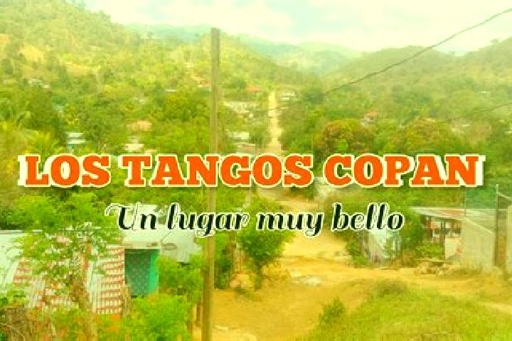 Lily, 26 — Escort in Los Tangos, Honduras
