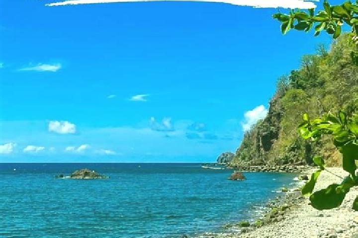 Lily, 26 — Escort in Pointe Michel, Dominica