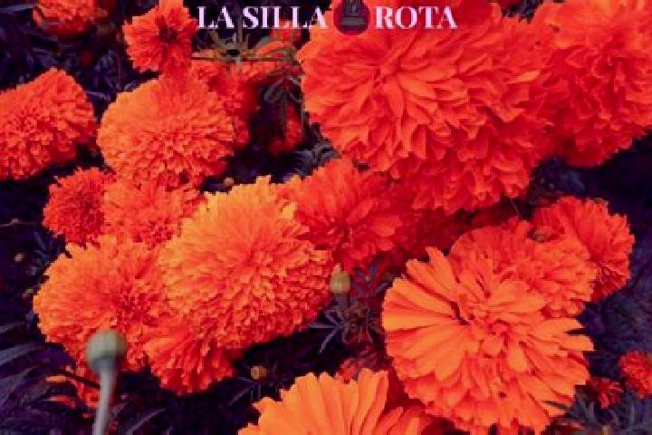 Lily, 26 — Escort in San Francisco Putla, Mexico