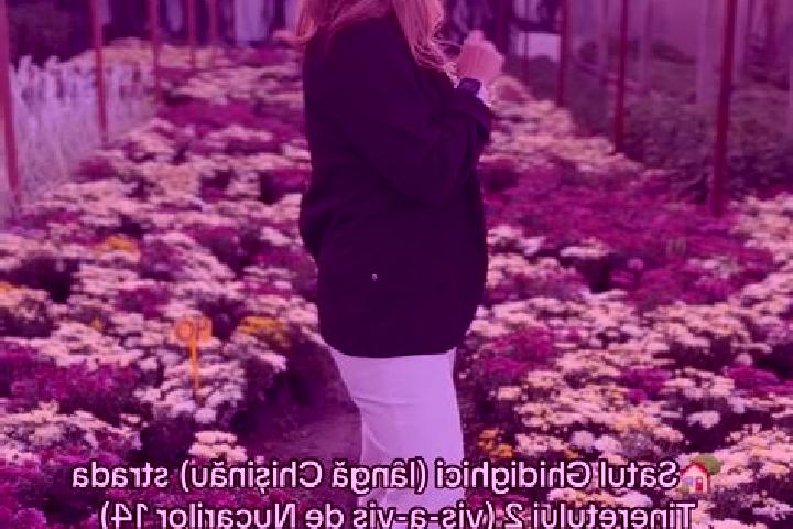 Lily, 26 — Escort in Valea Nucarilor, Romania