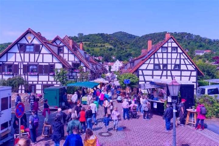 Lily, 26 — Escort in Zwingenberg, Germany