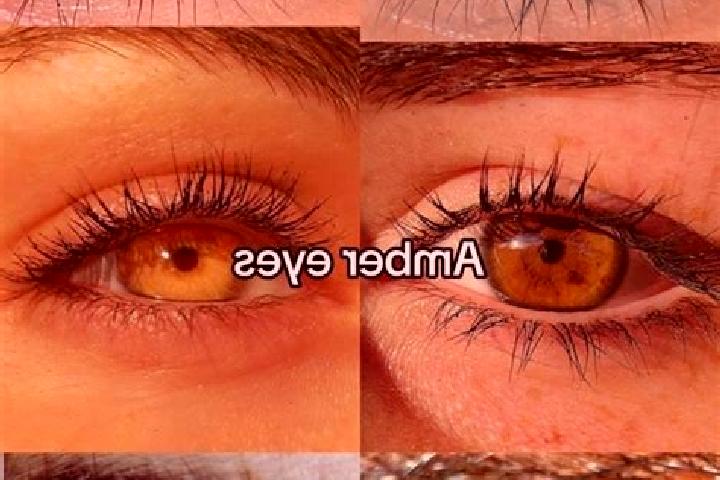 Lily, 27, a brunette amber-eyed european companion based in Halicilar. Offering Deep French Kissing, BDSM, Prostate Massage. Available for incall and outcall...
