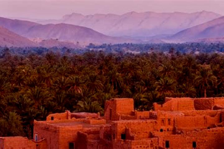 Lily, 27 — Escort in Ain Erreggada, Morocco