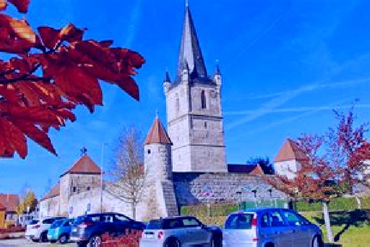 Lily, 27 — Escort in Hessdorf, Germany