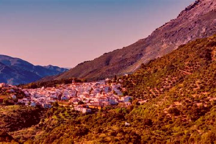 Lily, 28, a red blue-eyed european companion based in Cortes de la Frontera. Offering 69, Overnight, Roleplay. Available for incall and outcall, overnight bo...