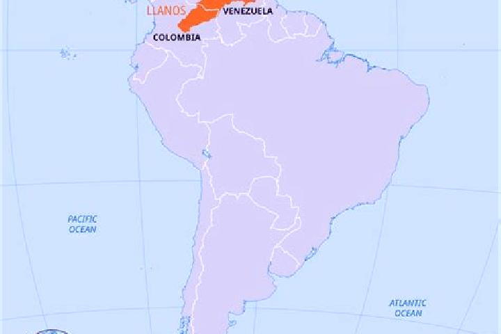 Lily, 28 — Escort in Boca de Rio, Venezuela