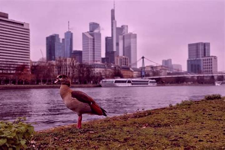 Lily, 28 — Escort in Frankfurt am Main, Germany