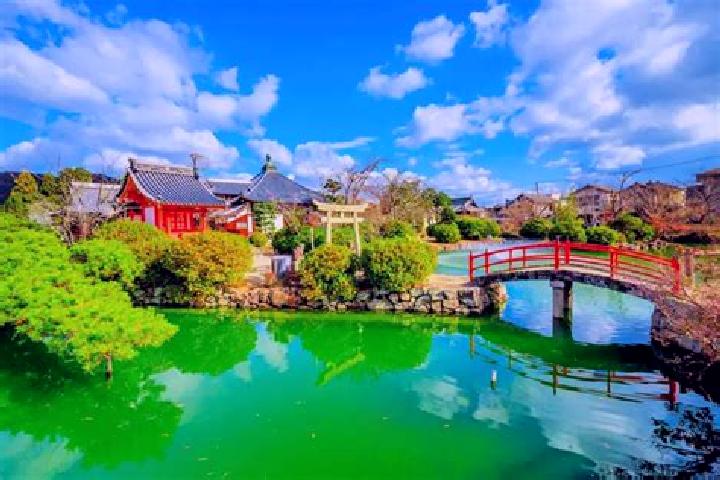 Lily, 28 — Escort in Okayama, Japan