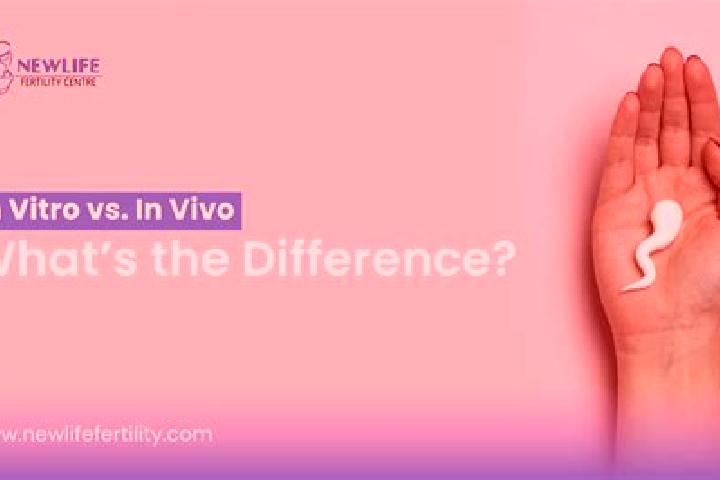 Lily, 28 — Escort in Sinio, Italy
