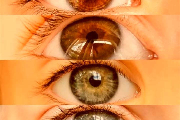 Lily, 29, a chestnut green-eyed middle eastern companion based in Askyaran. Offering Fetish, Couples, OWO. Available for incall and outcall, day and evening ...