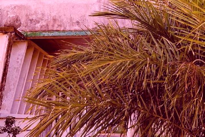 Lily, 29 — Escort in Inhambane, Mozambique