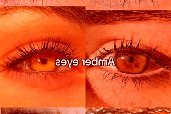 Lily, 30, a brunette amber-eyed middle eastern companion based in Absdorf. Offering Prostate Massage, Party Girl, Girlfriend Experience. Available for incall...