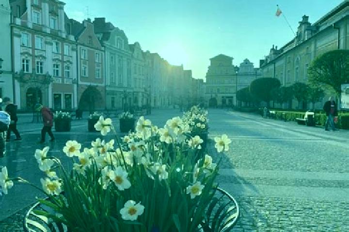 Lily, 30 — Escort in Boleslawiec, Poland