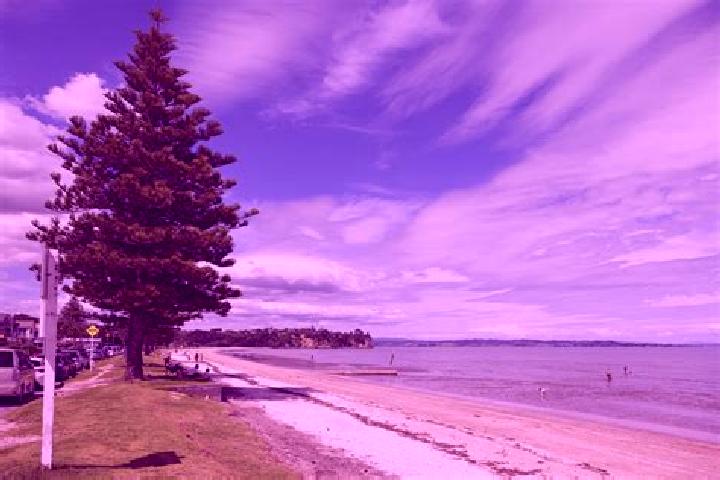 Lily, 30 — Escort in Bucklands Beach, New Zealand
