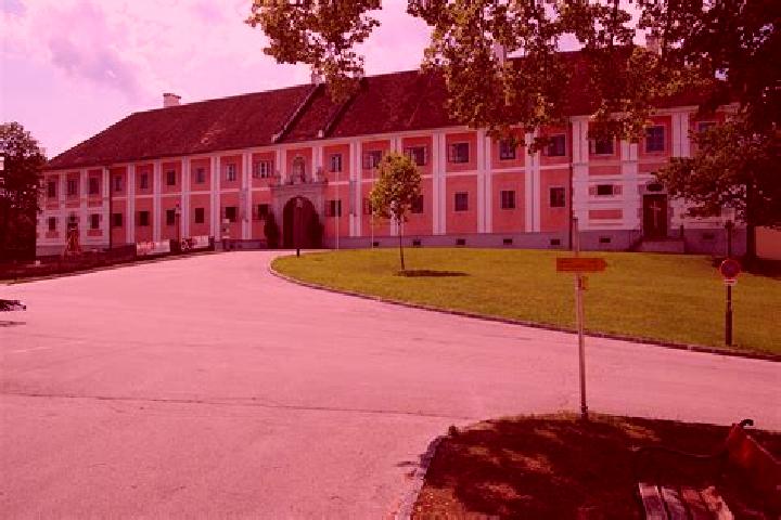 Lily, 30 — Escort in Seitenstetten Markt, Austria