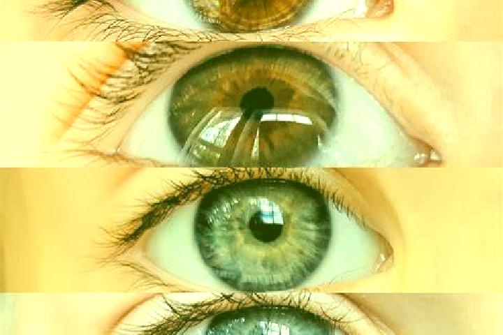 Lily, 31, a chestnut brown-eyed mixed companion based in Liberpolis. Offering GFE, Prostate Massage, Tantra. Available for incall and outcall, overnight book...