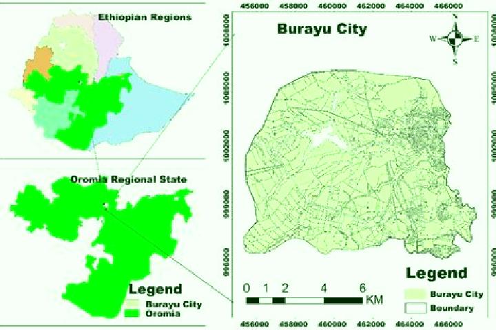 Lily, 31 — Escort in Burayu, Ethiopia