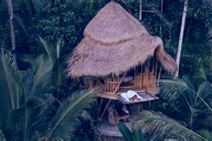 Lily, 31 — Escort in Cigaleuh Kulon, Indonesia