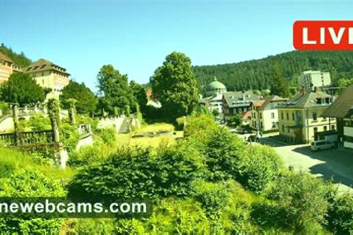Lily, 31 — Escort in Sankt Blasien, Germany