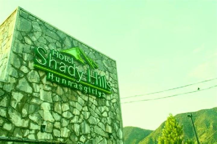 Lily, 31 — Escort in Shady Hills, United States