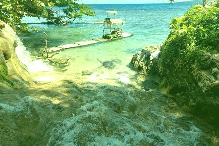 Lily, 32 — Escort in Above Rocks, Jamaica