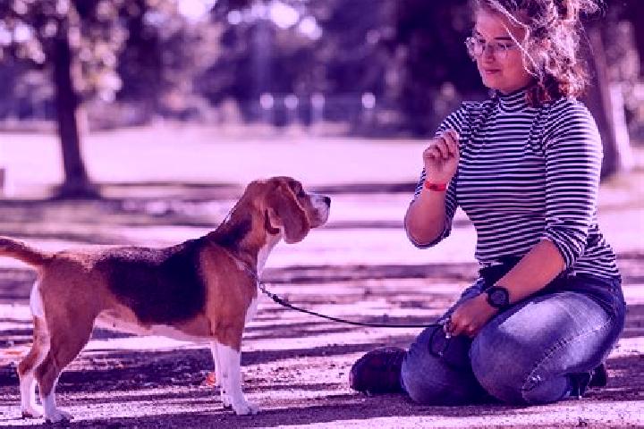 Lily, 32 — Escort in Sonderso, Denmark