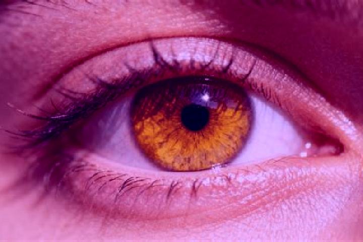 Lily, 33, a auburn amber-eyed european companion based in Balingen. Offering GFE, Dinner Date, Travel Companion. Available for incall and outcall, overnight ...