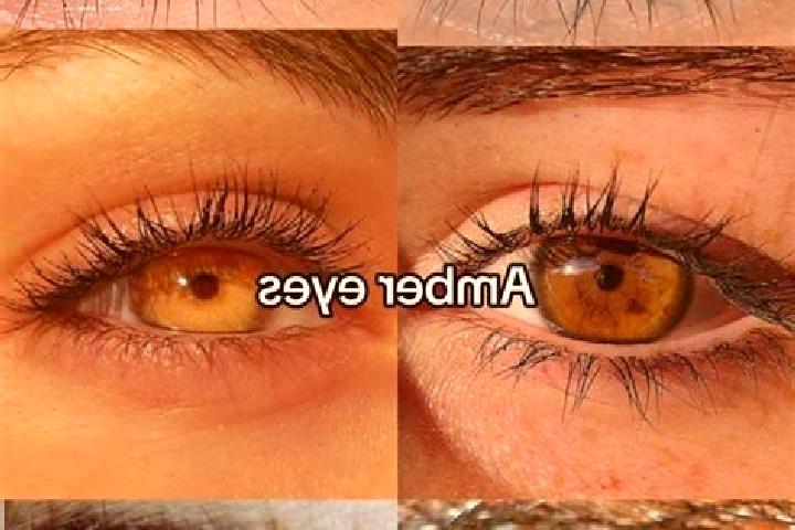 Lily, 33, a chestnut amber-eyed latina companion based in Werang. Offering OWO, Striptease, Dinner Date, A-Level. Available for incall and outcall, day and e...