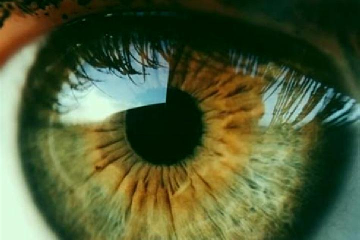 Lily, 33, a dark blonde hazel-eyed latina companion based in Kuesnacht / Schiedhalden. Offering Fetish, BDSM, Erotic Massage, Prostate Massage, Massage. Avai...