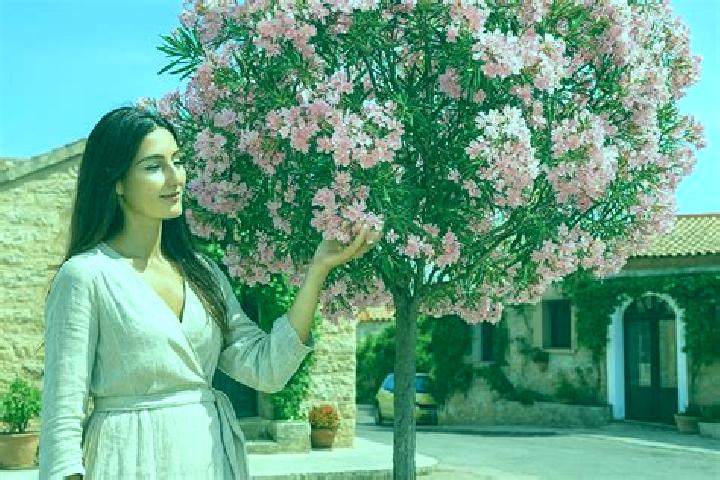 Lily, 33 — Escort in Adelfas, Spain