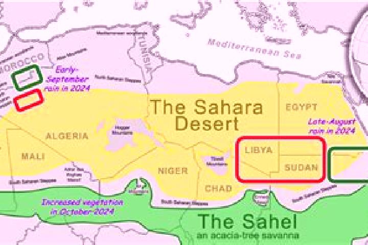 Lily, 33 — Escort in Haouza, Western Sahara