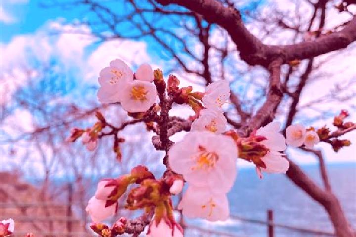Lily, 34 — Escort in Kamoenai, Japan