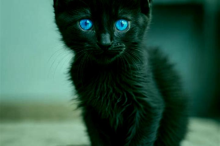 Lily, 35, a black blue-eyed european companion based in Sigaozhuang. Offering Party Girl, GFE, Domination. Available for incall and outcall, overnight bookin...