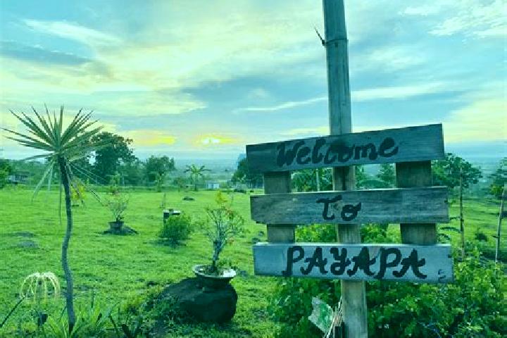 Lily, 35 — Escort in Payapa, Philippines