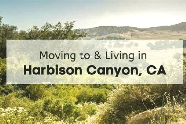 Lily, 36 — Escort in Harbison Canyon, United States
