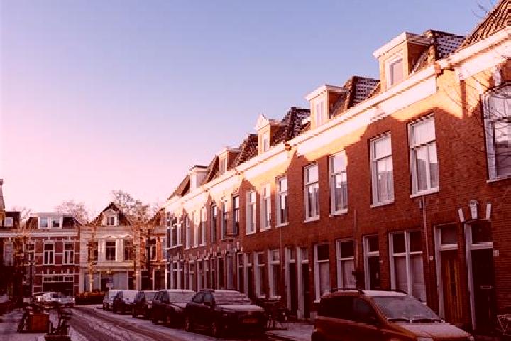 Lily, 36 — Escort in Korrewegwijk, Netherlands