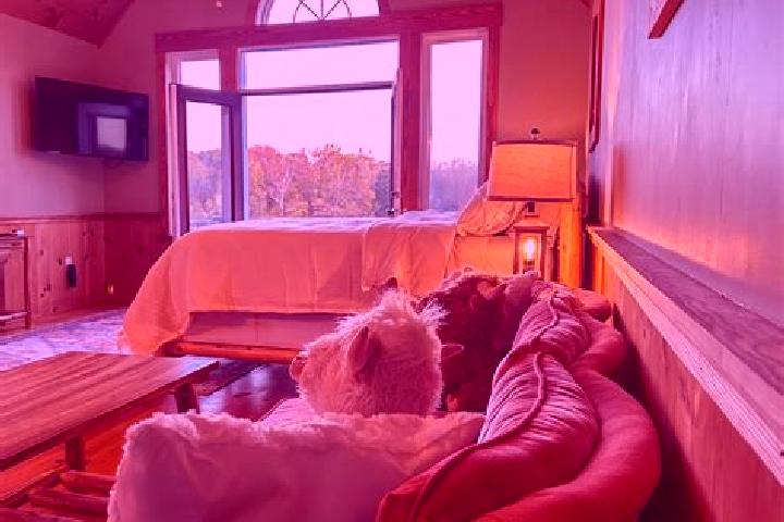Lily, 36 — Escort in Powhatan Point, United States