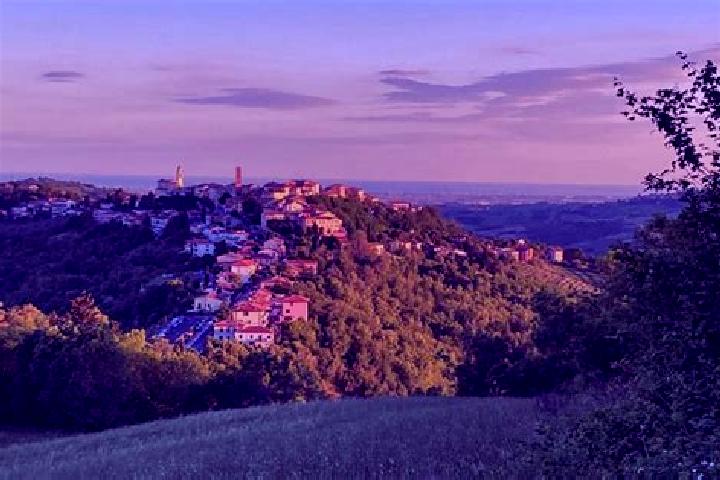Lily, 36 — Escort in Sogliano al Rubicone, Italy